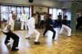 /album/kungfu-seminar-malmo/seminar-svedsko-malmo-5-jpg1/